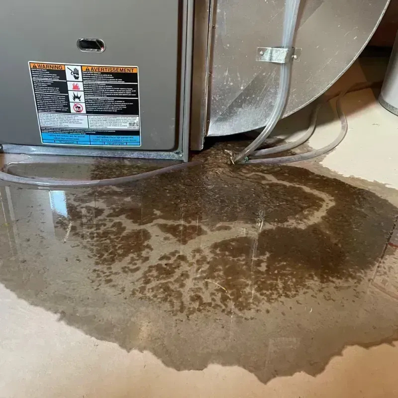 Appliance Leak Cleanup in Watseka, IL